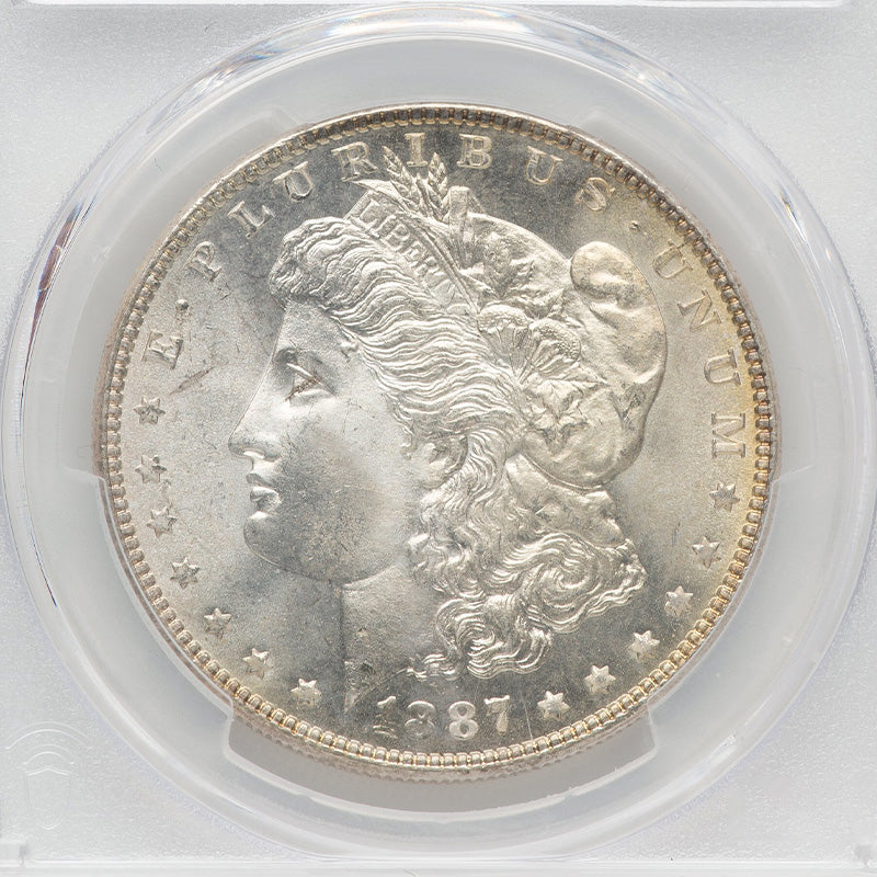 1887 Morgan Dollar