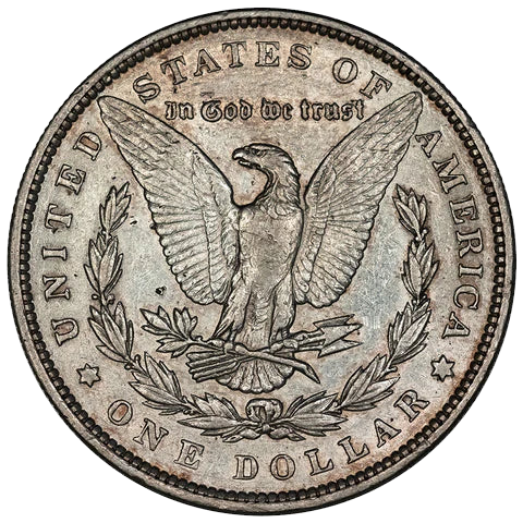 1893 Morgan