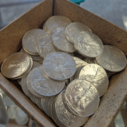 1986-2010 American Silver Eagle 25-pc Set